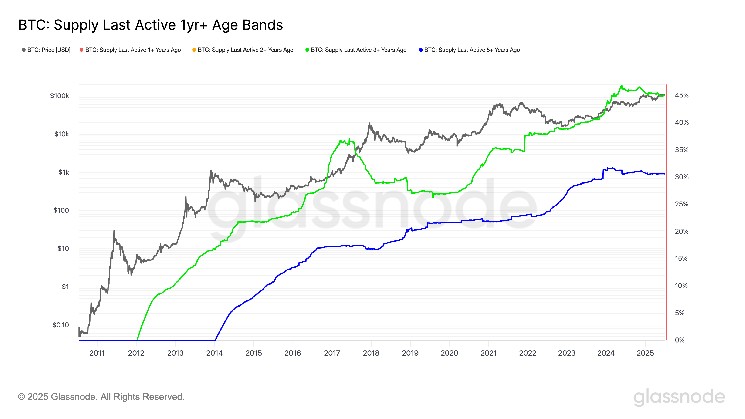 Долгосрочные держатели биткойнов проявляют терпение: данные Glassnode показывают стабильность на рынке