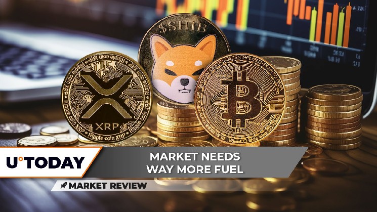 XRP, Shiba Inu и Bitcoin: аналитика текущих трендов и возможных рисков на крипторынке