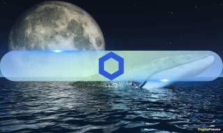 Консолидация Chainlink: крупные игроки преобладают, розничные инвесторы остаются в стороне
