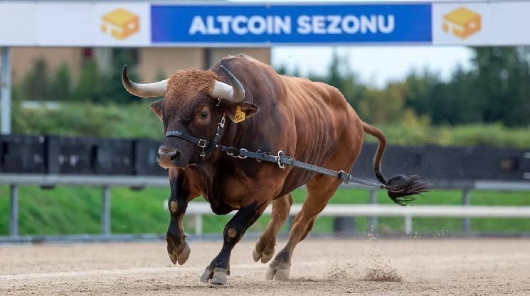 Чи почався сезон альткойнів? 24 альткойна обігнали Bitcoin за останні 90 днів