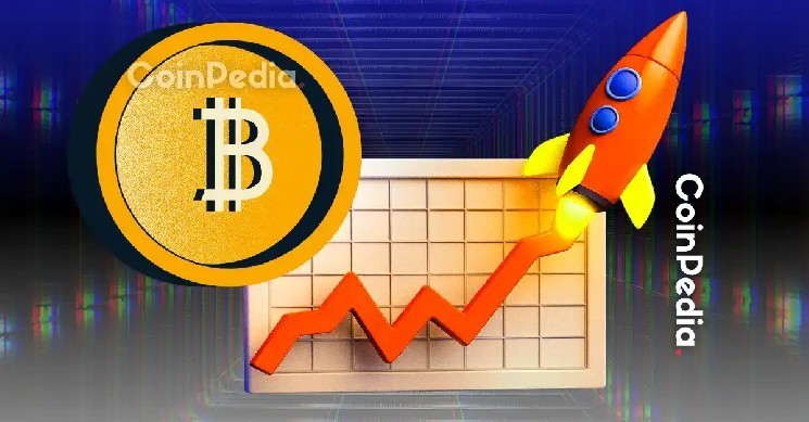 Киты Bitcoin продолжают накапливать: что нас ждет в будущем?