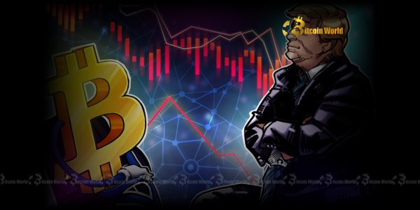 Проверка устойчивости стратегии резервов в биткойнах для компаний: что нужно учитывать?