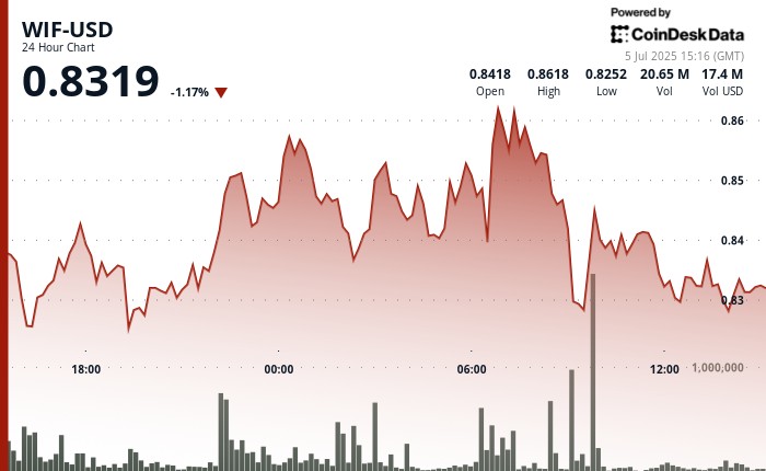 Кити накопичують WIF: підтримка та волатильність на ринку мемекоїнів