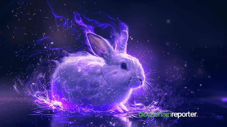 Rewards Bunny та AIDEN: Нове партнерство для покращення доступності блокчейну та винагород у Web3