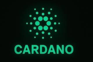 Cardano запускает визуальные инструменты управления для повышения участия и прозрачности в экосистеме