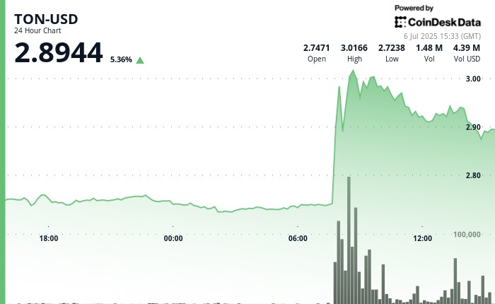 TON пропонує Золоту візу ОАЕ: інвестиції в криптовалюту за новою програмою та реакція спільноти