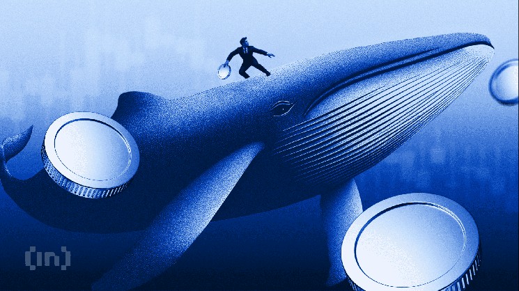 Два фактора, способствующие росту акций и облигаций Биткойна в 2025 году: институциональный спрос и стратегические преимущества для компаний