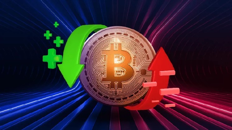 Рост альткоинов и прогнозы цен на биткойн от Михаэля ван де Поппе к концу 2023 года