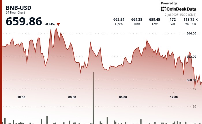 BNB: Текущая стабильность и потенциальный прорыв на уровне $664