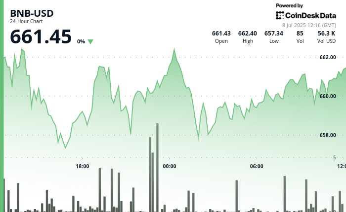 BNB сохраняет стабильность на фоне глобальных экономических изменений и тарифных мер США