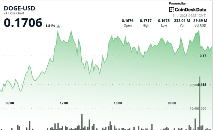 Dogecoin зростає: 5% за добу та новий обсяг торгів
