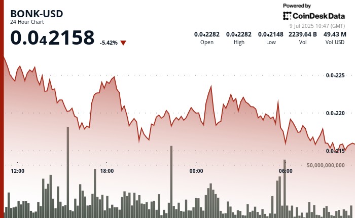 Курс BONK падає на 5.6%: попри короткостроковий тиск продажу, підґрунтя екосистеми зміцнюється
