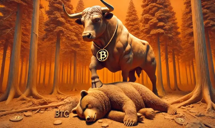 Цена биткойна побила рекорд: новый бычий рынок на горизонте!