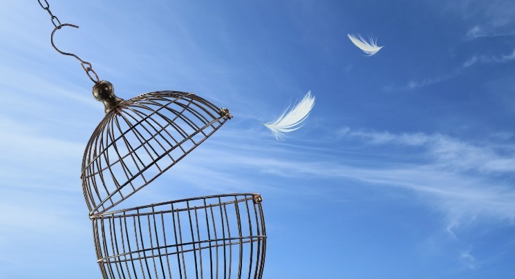 Ефір і Догікоін зростають на тлі позитивних сигналів для крипторинку