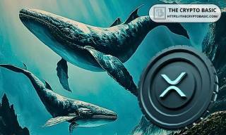 XRP на пике: ожидания одобрений ETF и рост котировок перед важными решениями