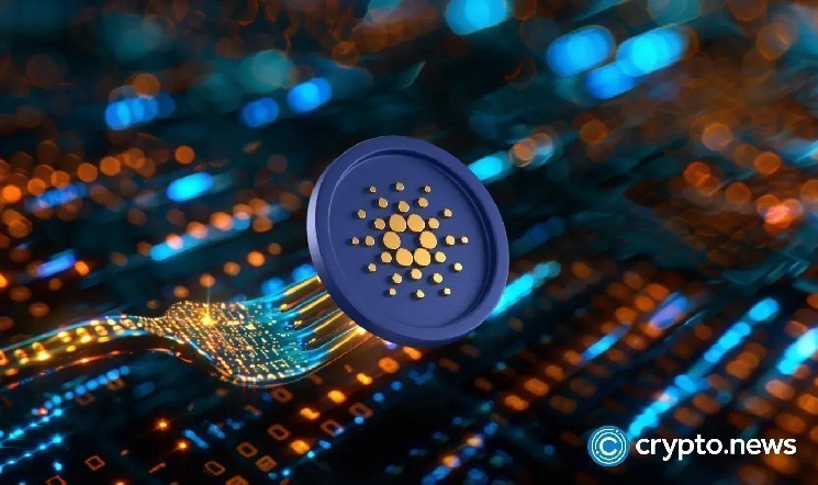 Cardano витрачає 15 мільйонів доларів на розвиток, але ціна ADA залишається нижчою