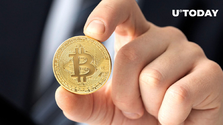 Розничные HODLеры поднимают Bitcoin: анализ данных Santiment