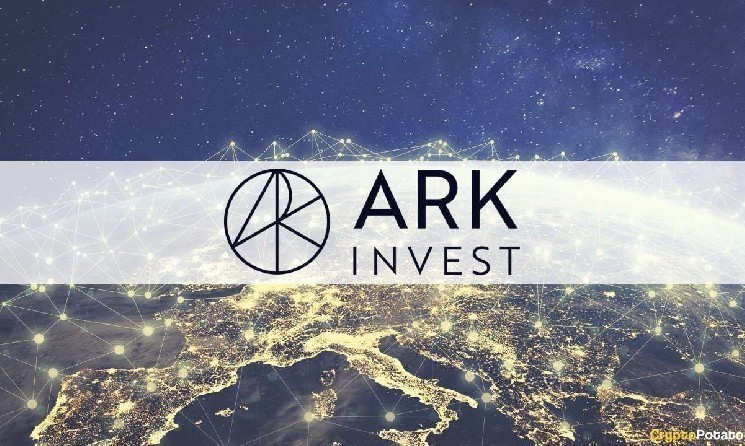 Ark Invest продает акции Coinbase и Robinhood на $12.3 млн на фоне роста крипторынка