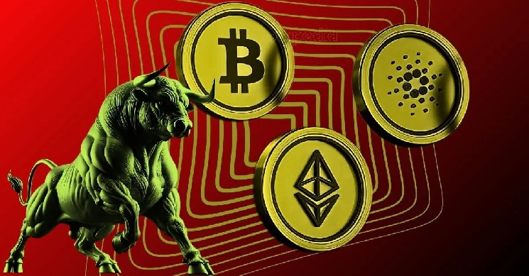 Біткоїн досяг рекорду: коли розпочнеться сезон альткойнів?