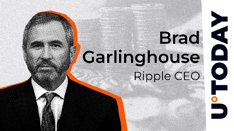 Генеральный директор Ripple рассказал о развитии инициативы по исследованию блокчейна в академической среде