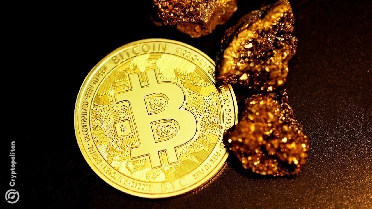 CKpool запускает новый сольный BTC пул с низкой задержкой для майнеров Океании