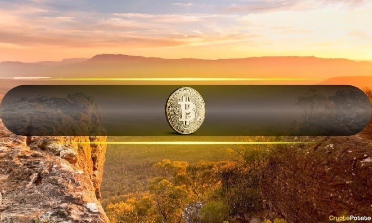 Рост биткойна: 6 причин, способствующих новому рекорду и возможному дальнейшему росту BTC