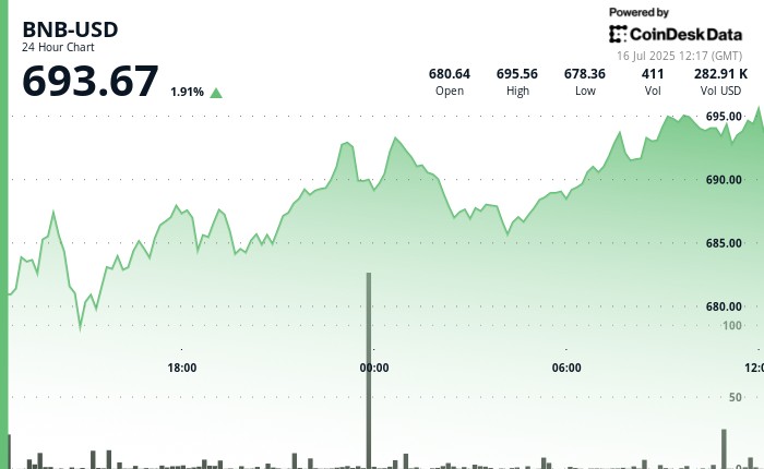 BNB зростає на фоні домінування Binance на ринку криптовалют