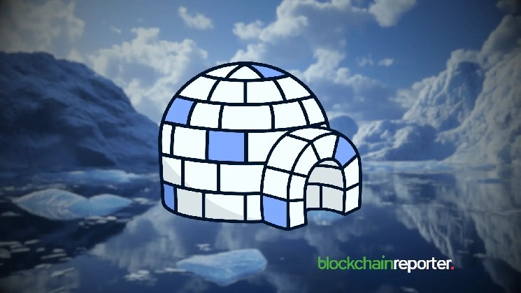 PENGU: Рост переводов на 30% и активность на Stargate Finance