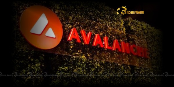 Переосмислення інституційних крипто-платежів: успішна транзакція Lynq в мережі Avalanche відкриває нову еру фінансових операцій
