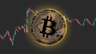 Краткосрочные инвесторы ожидают роста биткойна до 25%: аналитика CryptoQuant