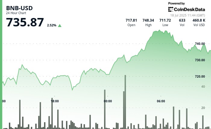 BNB зростає завдяки домінуванню Binance у торгах та інвестиціям Windtree на $200 млн