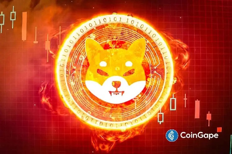 Шиба Іну (SHIB) зростає: рекордне спалювання токенів та зростання відкритого інтересу трейдерів