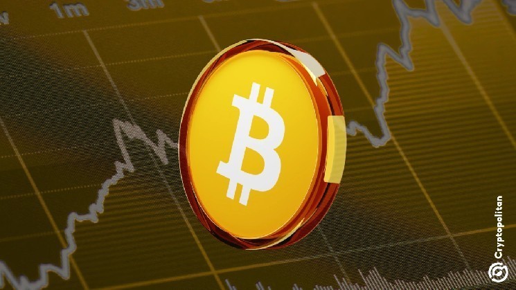 Вплив великих гравців: 81 тисяча BTC на біржах через продажі майнерів та китів