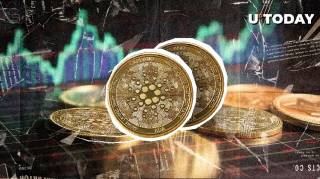 Рост активности китов в сети Cardano: миллионы в транзакциях и бычий настрой на рынке ADA
