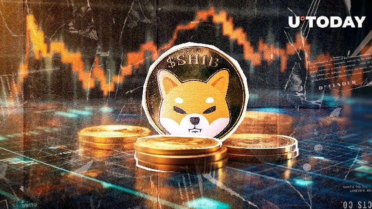 Shiba Inu готується до альткоїн-сезону: прогноз росту та ризики на ринку