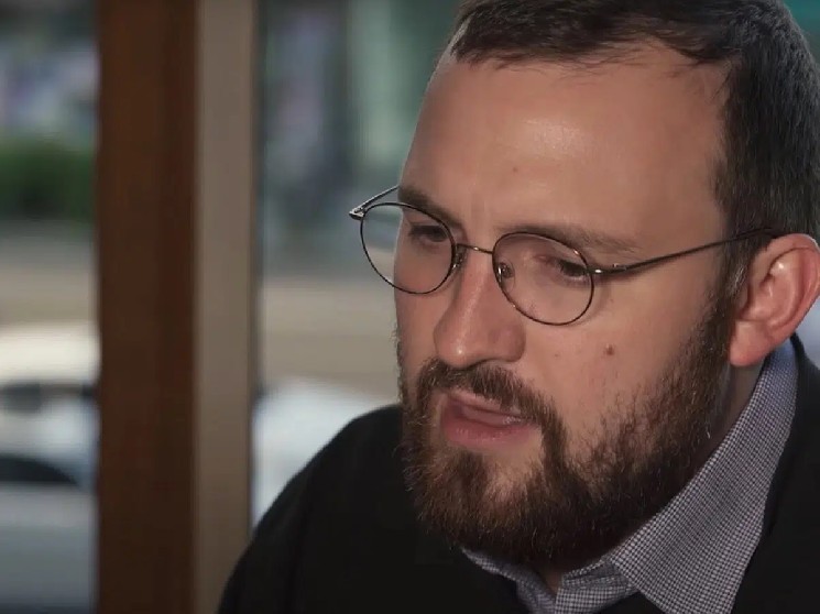 Чарльз Хоскінсон оприлюднив перший звіт аудиту щодо звинувачень у маніпуляціях з Cardano (ADA)