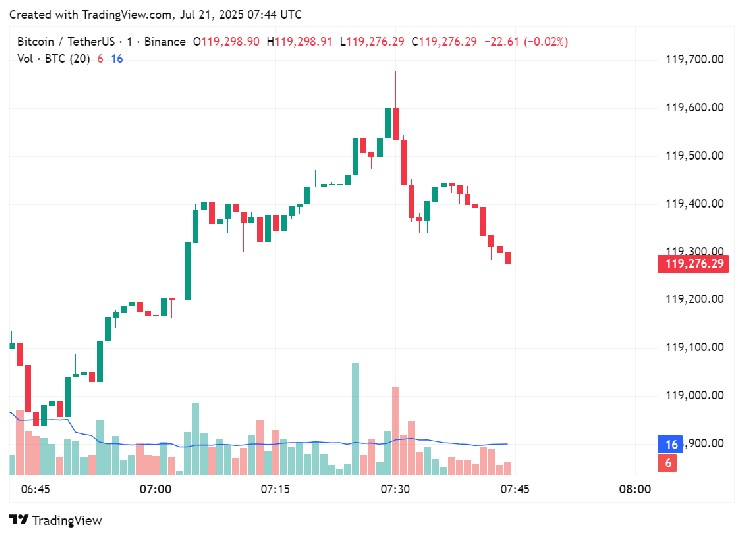 Группа Blockchain увеличила запасы Биткойна до 2000 BTC с доходностью 1373% в 2023 году