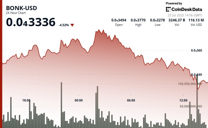 Тиск продажу на BONK: мем-токен на Solana впав на 4%