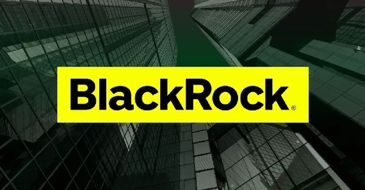 Чутки про злиття BlackRock і Ripple: що насправді відомо?