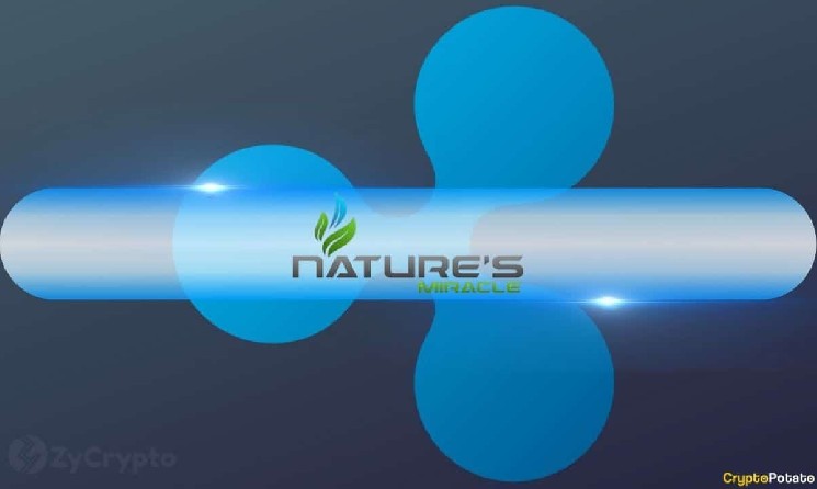 Ripple’s XRP: Сільськогосподарські компанії обирають криптовалюту для казначейських резервів