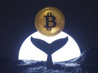 Перевод древнего кита: 80,000 биткойнов проданы, личность владельца может быть раскрыта