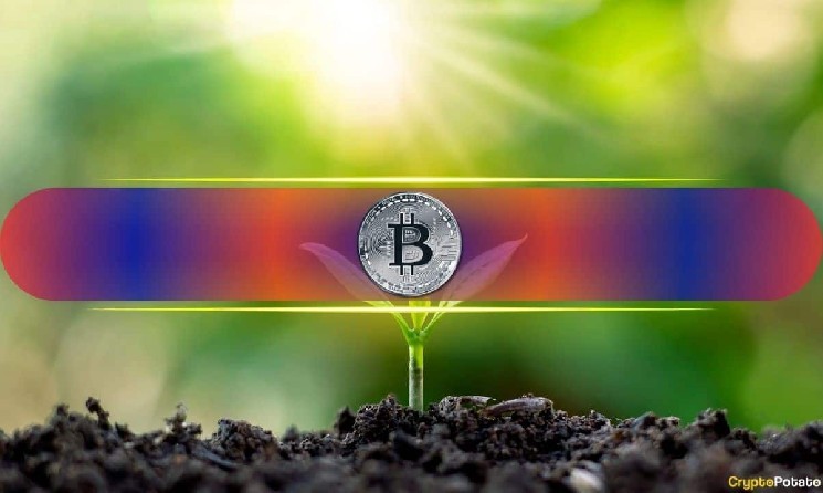 Меньше 1 BTC для выхода на пенсию: новые исследования показывают - достаточно ли этого для большинства людей в 2035 году?