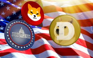 Инвесторы ищут стабильность: MAGACOIN FINANCE появляется на фоне волатильности Dogecoin