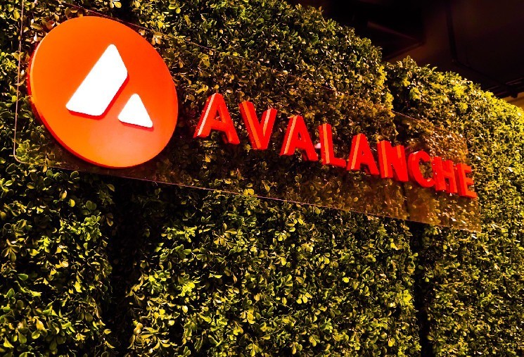 Grove инвестирует $250 миллионов в токенизированные кредиты на Avalanche через партнерство с Centrifuge и Janus