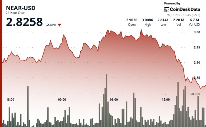 NEAR зазнав падіння на 4%: чи сигналізує це про ведмежу реверсію?