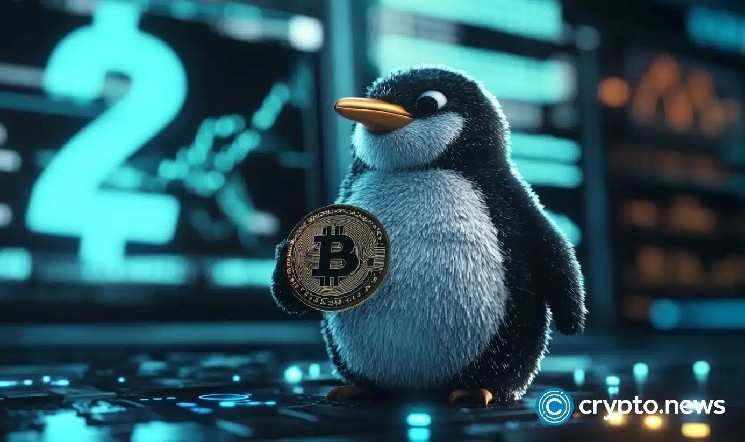 PENGU: Чи досягло ралі піку? Аналітика ризиків та підтримки для інвесторів.