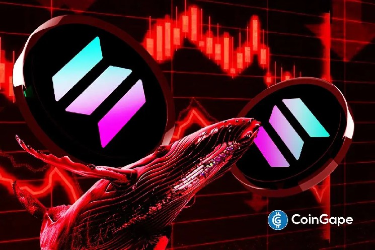 Продажі китів Solana призводять до падіння ціни: крах до $120 стає дедалі ймовірнішим