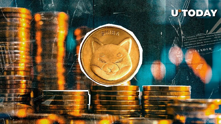 Шиба Іну: Пять років успішного знищення токенів SHIB