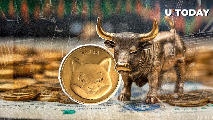 Зниження відкритих позицій Shiba Inu: 14.03 трильйона SHIB в центрі уваги інвесторів