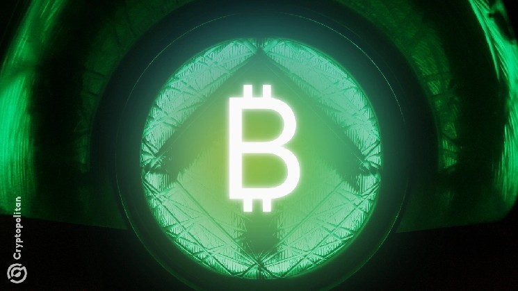 Кит на Bitfinex активно накапливает Биткойн во время падения рынка: как трейдеры используют стратегию покупки на спаде.